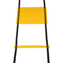 Buy TnP Accessories® 6 Mts Speed Agility Fitness Ladder 