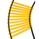 Buy TnP Accessories® 6 Mts Speed Agility Fitness Ladder 